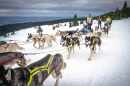 Ledová jízda 2026